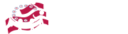 Phone2Vote Logo